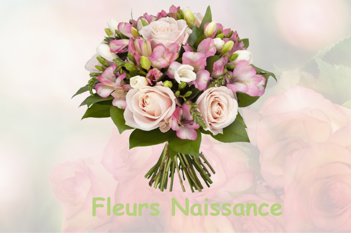 fleurs naissance MUSSEY-SUR-MARNE